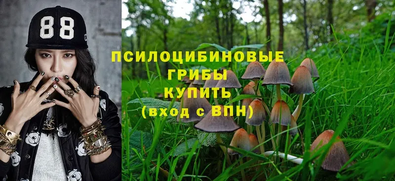 Псилоцибиновые грибы Magic Shrooms Краснокаменск